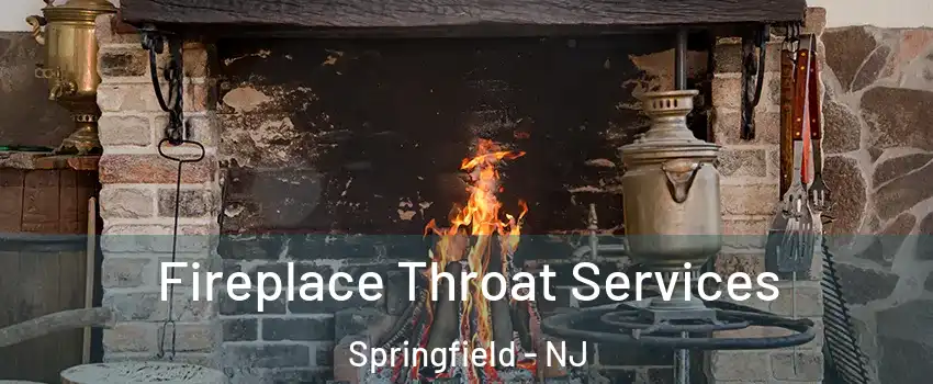 Fireplace Throat Services Springfield - NJ