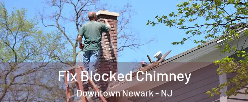 Fix Blocked Chimney Downtown Newark - NJ