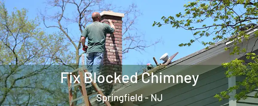 Fix Blocked Chimney Springfield - NJ