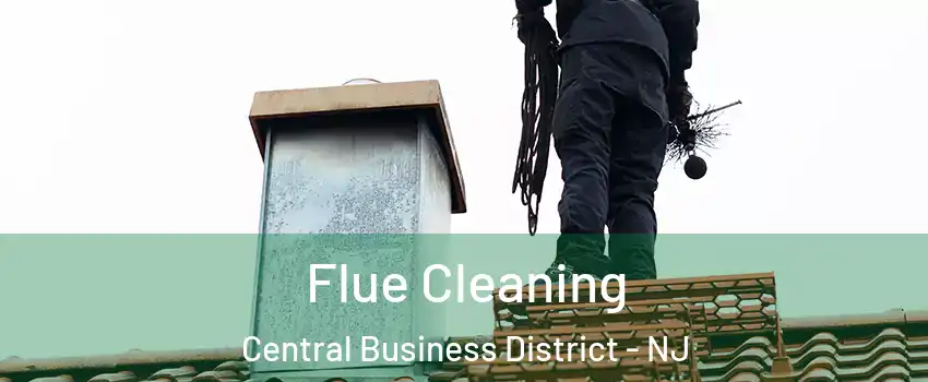 Flue Cleaning Central Business District - NJ