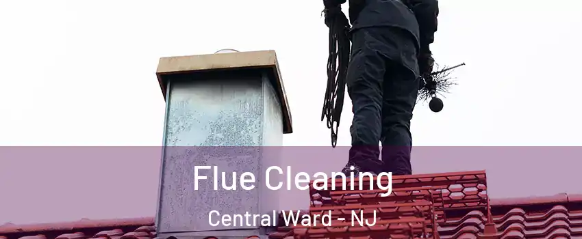 Flue Cleaning Central Ward - NJ