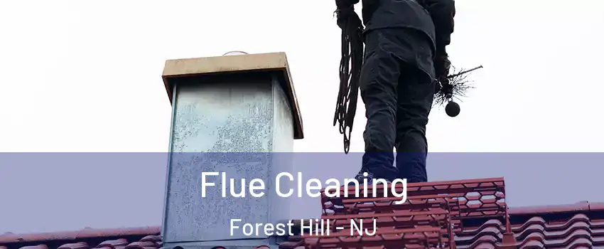 Flue Cleaning Forest Hill - NJ