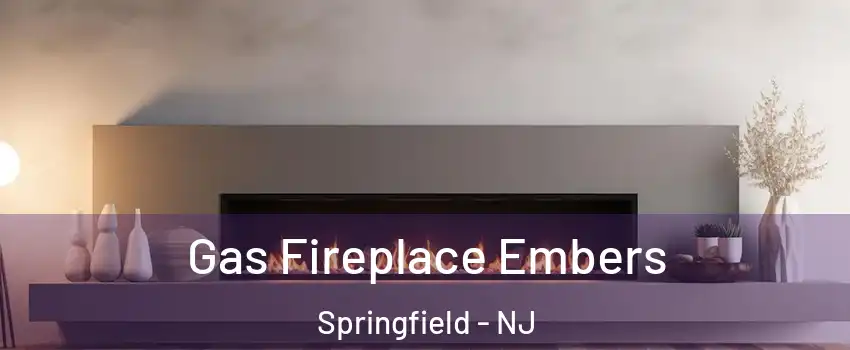 Gas Fireplace Embers Springfield - NJ