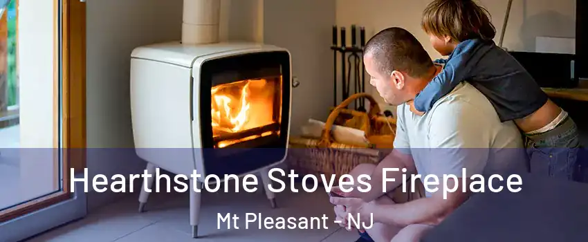 Hearthstone Stoves Fireplace Mt Pleasant - NJ