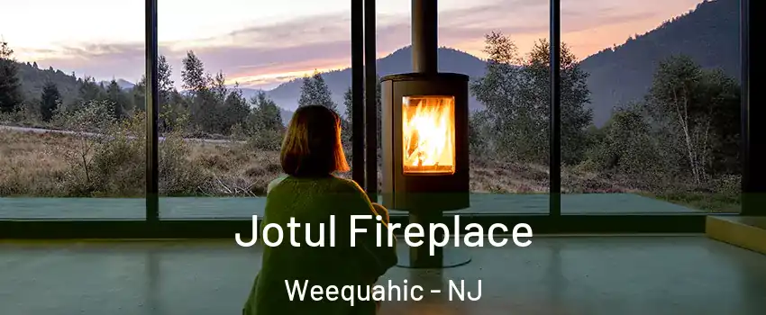 Jotul Fireplace Weequahic - NJ