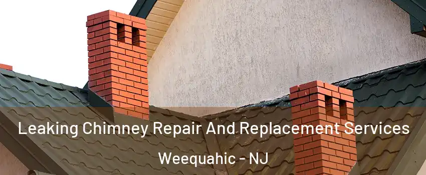 Leaking Chimney Repair And Replacement Services Weequahic - NJ