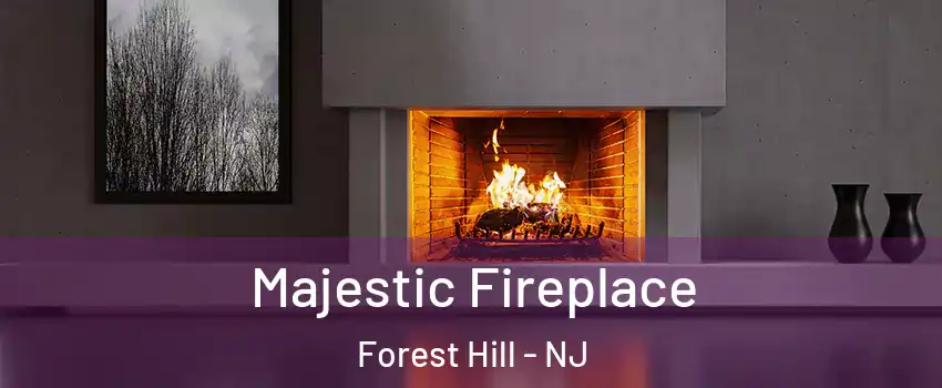 Majestic Fireplace Forest Hill - NJ