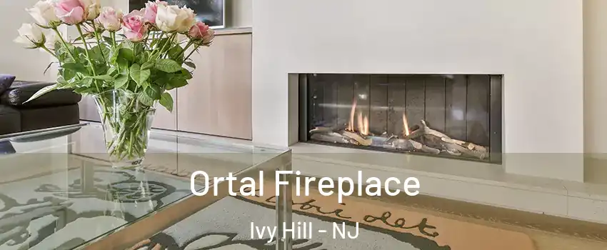 Ortal Fireplace Ivy Hill - NJ