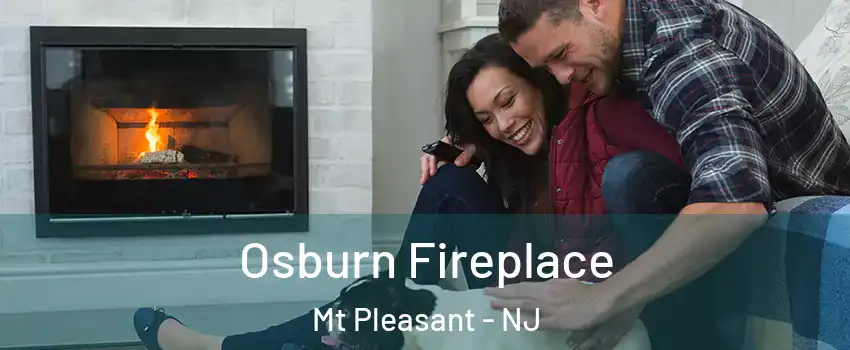 Osburn Fireplace Mt Pleasant - NJ