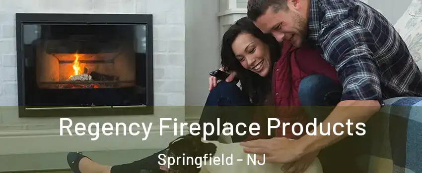 Regency Fireplace Products Springfield - NJ