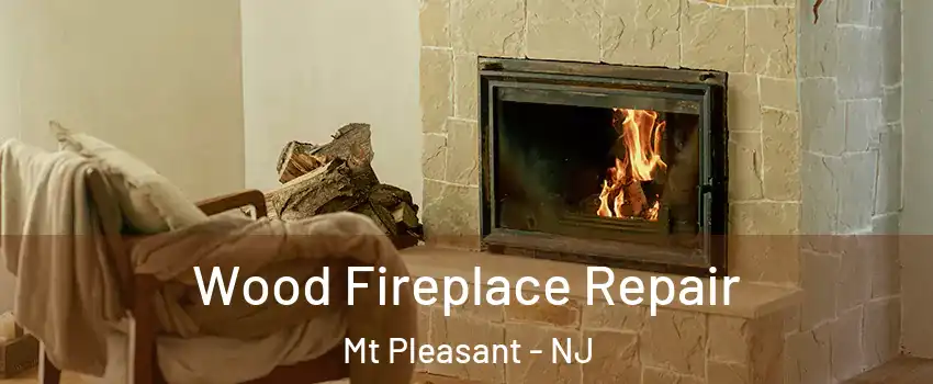 Wood Fireplace Repair Mt Pleasant - NJ