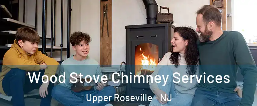 Wood Stove Chimney Services Upper Roseville - NJ