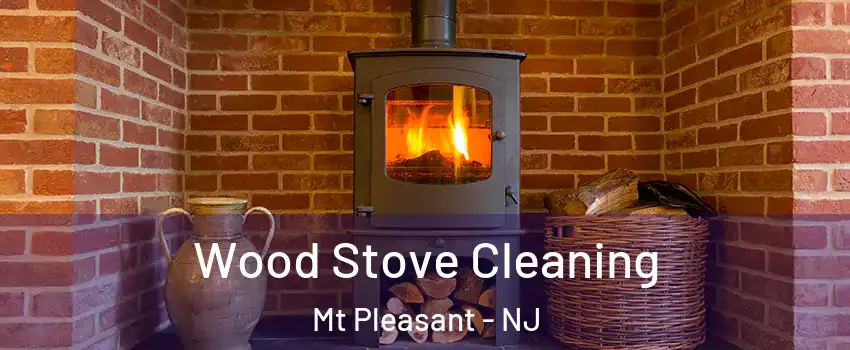 Wood Stove Cleaning Mt Pleasant - NJ